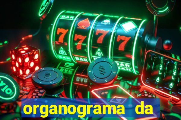 organograma da cacau show